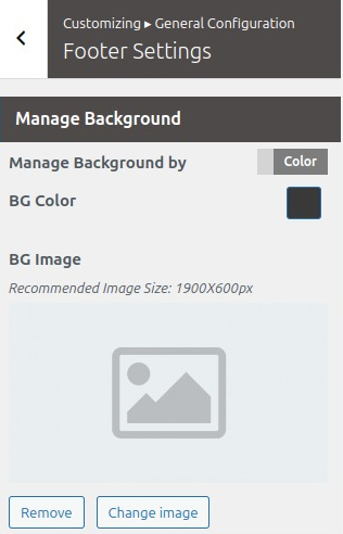 set Footer section