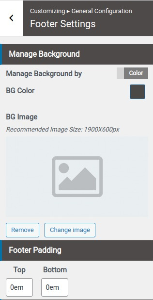 set Footer section