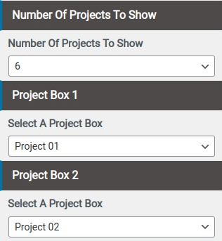 set Project Section