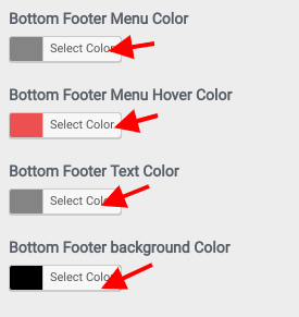 set Footer section