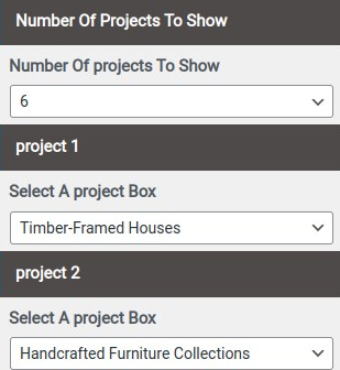 set Project Section